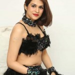 Shraddha Das 34 Actress Shraddha Das At Bang Bang New Year Celebration Photos