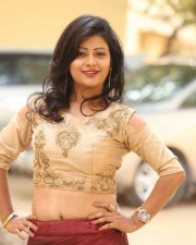 Actress Shubhangi Pant At Itlu Anjali First Look Launch Photos