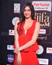 Adah Sharma Cleavage Show At Iifa Awards Photos