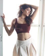 Alluring Actress Misha Narang in a Maroon Crop Top and White Pants Photos 06