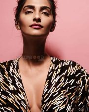 Blind Movie Heroine Sonam Kapoor Photos 01