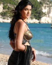 Deeksha Seth In Wanted Telugu Movie Stills