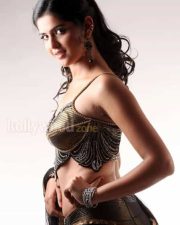 Deeksha Seth Rowdi Raja Movie Spicy Sexy Photos