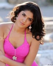 Deeksha Seth Rowdi Raja Movie Spicy Sexy Photos