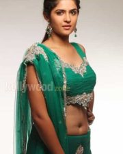 Deeksha Seth Rowdi Raja Movie Spicy Sexy Photos