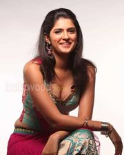 Deeksha Seth Rowdi Raja Movie Spicy Sexy Photos