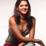 Deeksha Seth 35 Deeksha Seth Rowdi Raja Movie Spicy Sexy Photos