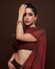 Elegant Sanya Malhotra in a Rust Tube Top Skirt and Sheer Dupatta for Filmfare Photos 02