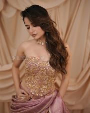 Enchanting Actress Ashika Ranganath in a Pink Gold Embroidered Saree Photos 01