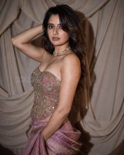 Glamorous Actress Ashika Rangnath in a Gold Embroidered Strapless Corset with Pink Saree Photos 01 Glamorous Actress Ashika Rangnath in a Gold Embroidered Strapless Corset with Pink Saree Photos 01