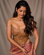 Glamorous Actress Ashika Rangnath in a Gold Embroidered Strapless Corset with Pink Saree Photos 04
