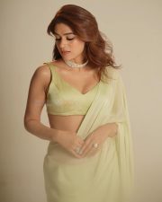 Graceful Actress Shraddha Das in a Pale Green Saree Photos 04