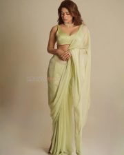 Graceful Actress Shraddha Das in a Pale Green Saree Photos 06