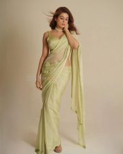 Graceful Actress Shraddha Das in a Pale Green Saree Photos 07