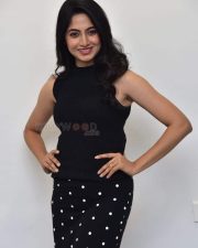 Heroine Kushee Ravi at Pindam Movie Interview Photos 09