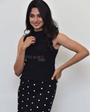 Heroine Kushee Ravi at Pindam Movie Interview Photos 10