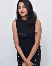 Heroine Kushee Ravi at Pindam Movie Interview Photos 14