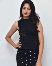 Heroine Kushee Ravi at Pindam Movie Interview Photos 15