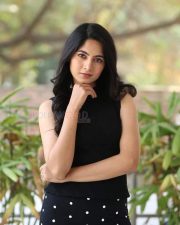 Heroine Kushee Ravi at Pindam Movie Interview Photos 42