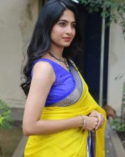 Heroine Kushee Ravi at Pindam Pre Release Press Meet Pictures 13