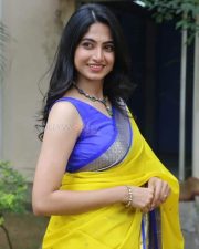 Heroine Kushee Ravi at Pindam Pre Release Press Meet Pictures 14
