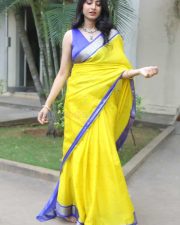 Heroine Kushee Ravi at Pindam Pre Release Press Meet Pictures 21