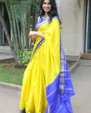 Heroine Kushee Ravi at Pindam Pre Release Press Meet Pictures 22