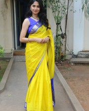 Heroine Kushee Ravi at Pindam Pre Release Press Meet Pictures 40