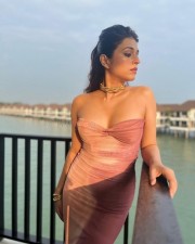 Hot Shraddha Das in a Beige Tube Style Ruched Maxi Dress Pictures 04