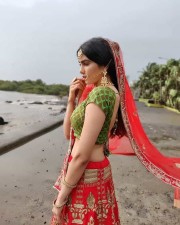 Model Adah Sharma Traditional Indian Costume Photos