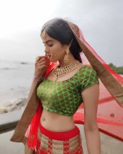 Model Adah Sharma Traditional Indian Costume Photos