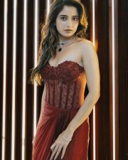 Naa Saami Ranga Actress Ashika Ranganath in a Rust Red Strapless Corset Gown Photos 03