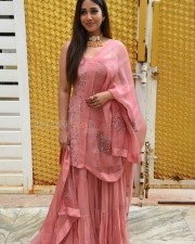 Nivetha Pethuraj Paagal Movie Interview Photos