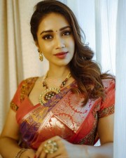Nivetha Pethuraj in a Beautiful Saree Photo 01