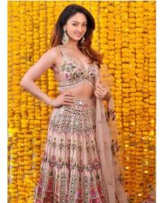 Ravishing Sandeepa Dhar in a Pink Lehenga Choli Photos 04