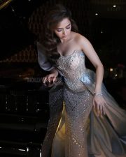 Sandalwood Beauty Ashika Ranganath in a Strapless Metallic Gown Pictures 04