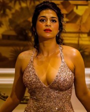 Sexy Actress Shraddha Das in a Glittering Dress Photos 04