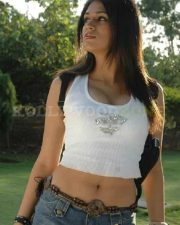 Shraddha Das Sexy Photos