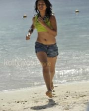 Shradha Das Spicy Photos