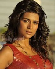 Shradha Das Spicy Photos