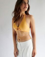 Slim and Sexy Raashii Khanna Hot Pictures