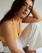 Slim and Sexy Raashii Khanna Hot Pictures