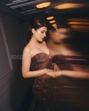 Sophisticated Actress Shraddha Das in a Dark Brown Embellished Strapless Gown Photos 01 Sophisticated Actress Shraddha Das in a Dark Brown Embellished Strapless Gown Photos 01