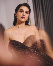Sophisticated Actress Shraddha Das in a Dark Brown Embellished Strapless Gown Photos 05 Sophisticated Actress Shraddha Das in a Dark Brown Embellished Strapless Gown Photos 05