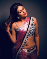 Stunning Shraddha Das Showing Navel in Saree Photos 01