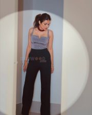 Stylish Shraddha Das in a Beige Sleeveless Corset Top with Black Pant Pictures 02 Stylish Shraddha Das in a Beige Sleeveless Corset Top with Black Pant Pictures 02