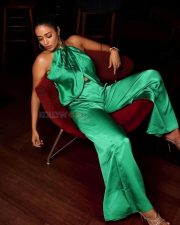 Tamil Heroine Nivetha Pethuraj in an Olive Green Long Dress Pictures 02