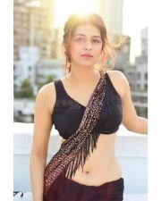Telugu Actress Shraddha Das Hot Navel Saree Photos 03 Telugu Actress Shraddha Das Hot Navel Saree Photos 03