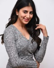 Tollywood Heroine Shweta Avasthi Interview Photos