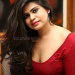 Actress Alekhya At Elite New Year Eve Ticket Launch Pictures 20 Actress Alekhya At Elite New Year Eve Ticket Launch Pictures 20